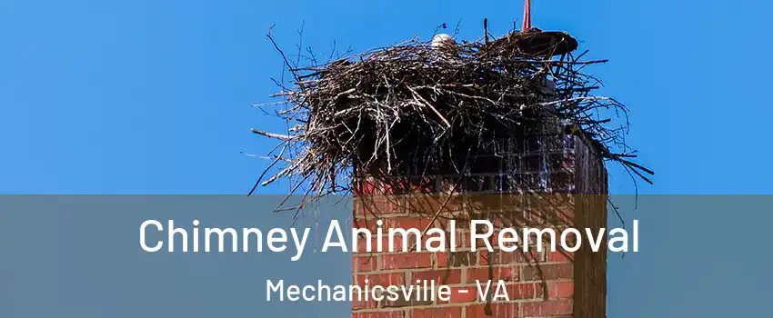 Chimney Animal Removal Mechanicsville - VA
