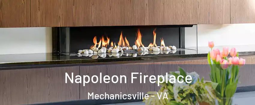 Napoleon Fireplace Mechanicsville - VA